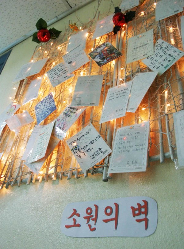 20060126_1557231.jpg