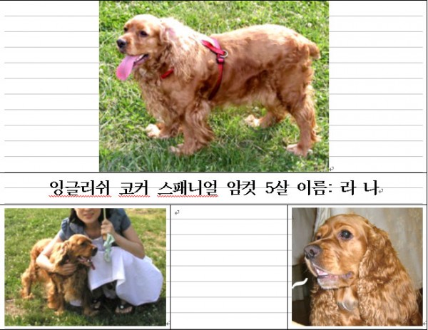 라나전단.jpg