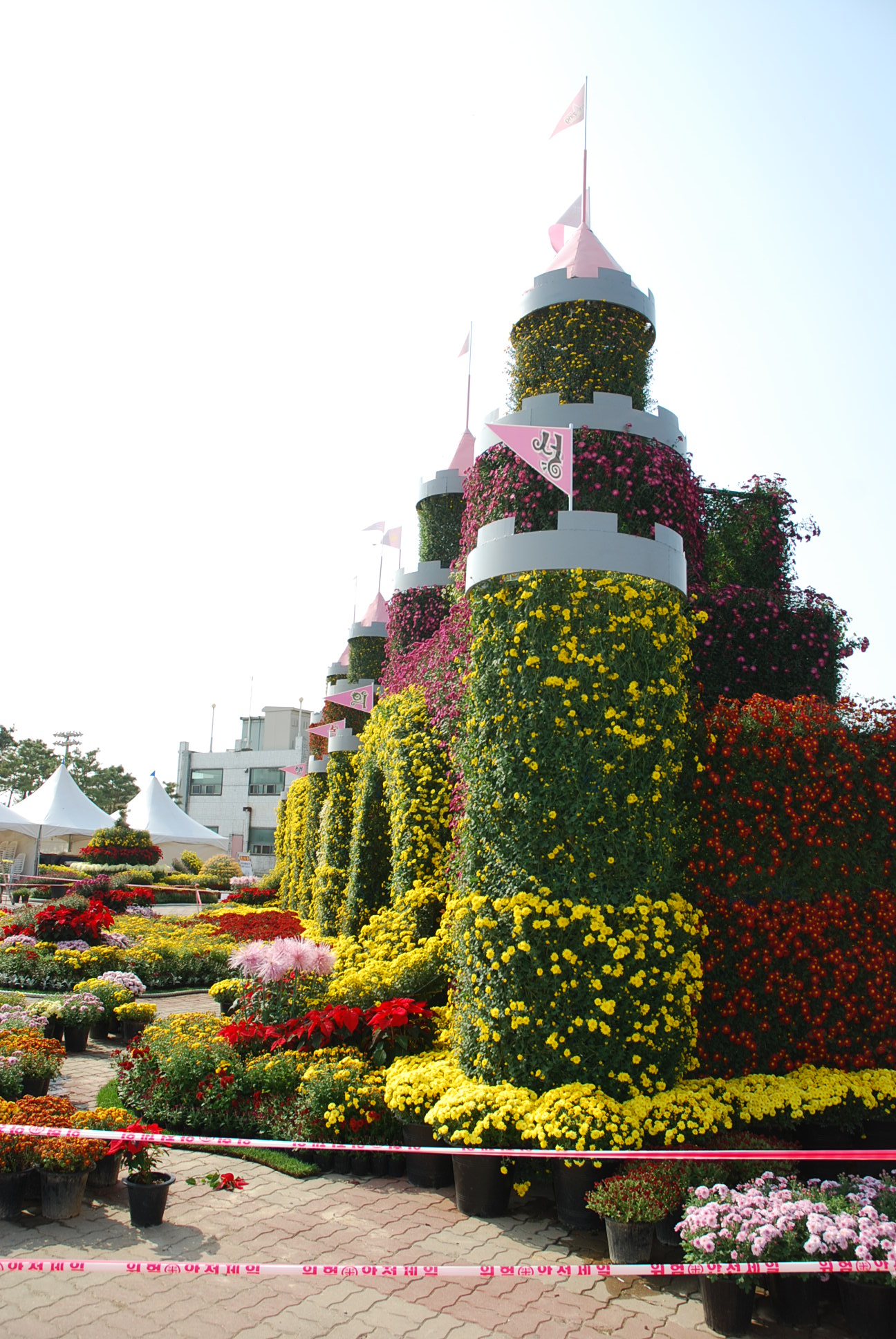 dsc_0066.jpg