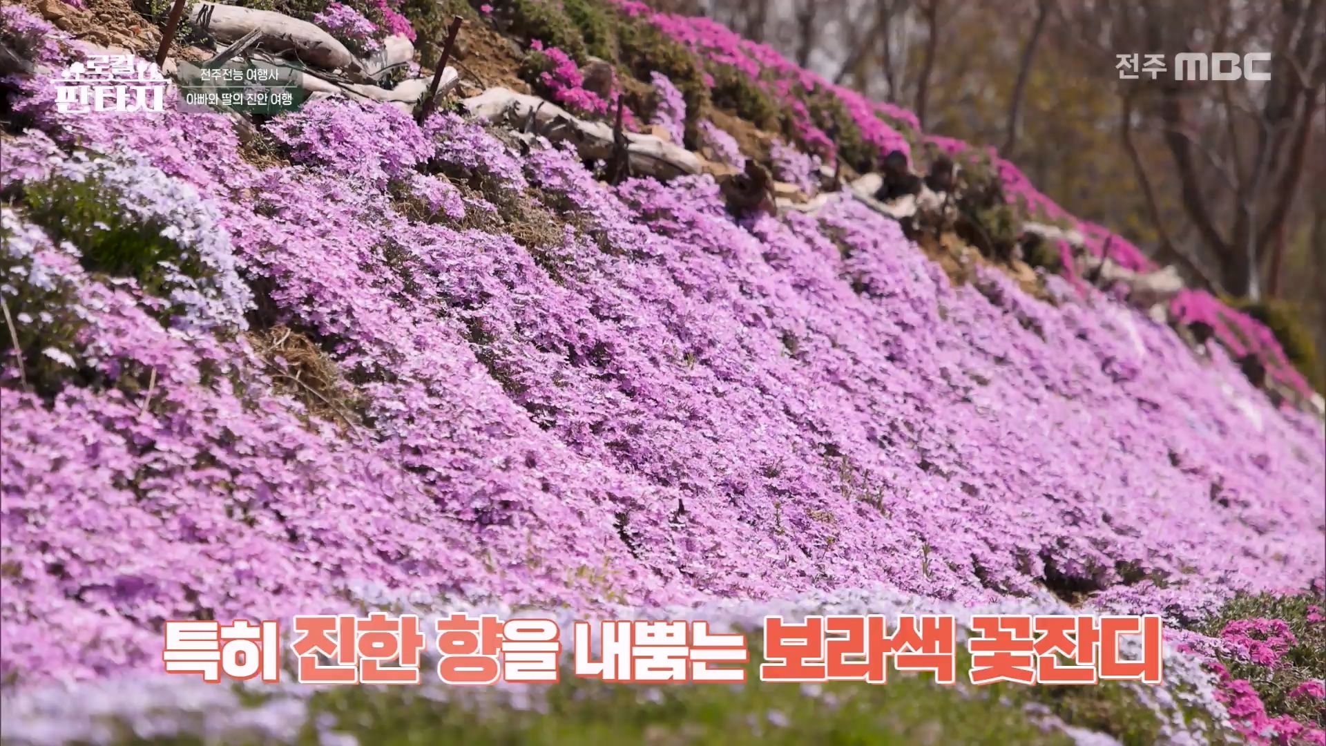 [로컬판타지] 전주MBC 2025년 05월 08일
