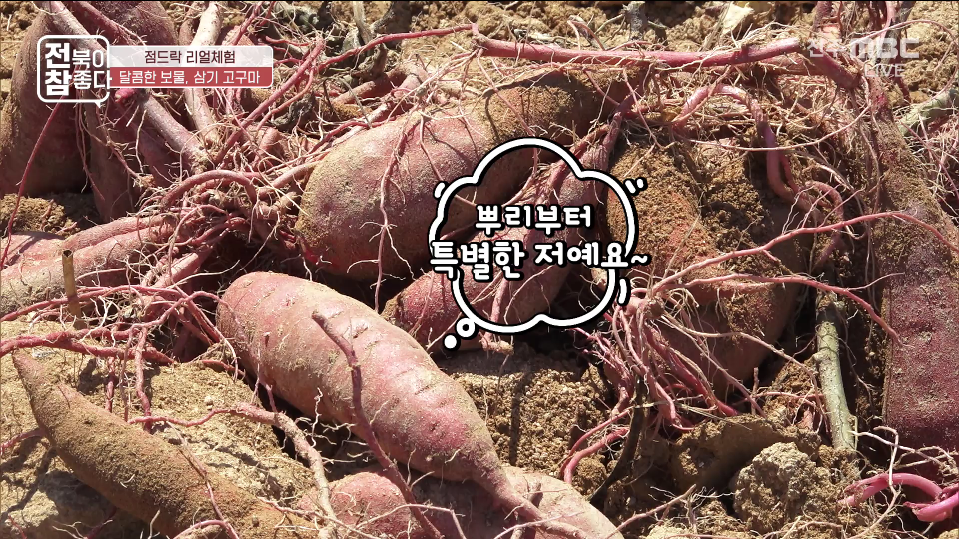 [전북이 참 좋다] 전주MBC 2025년 09월 10일