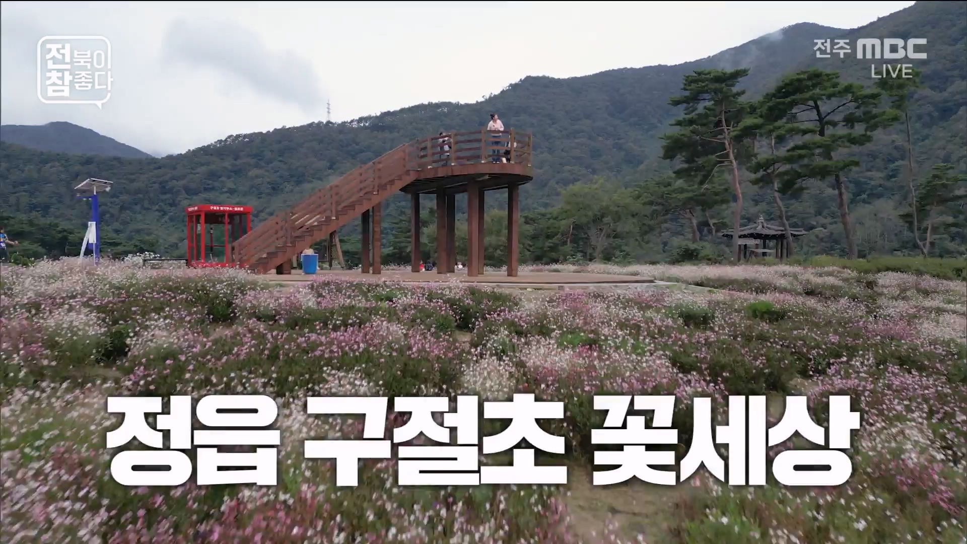 [전북이 참 좋다] 전주MBC 2025년 10월 22일