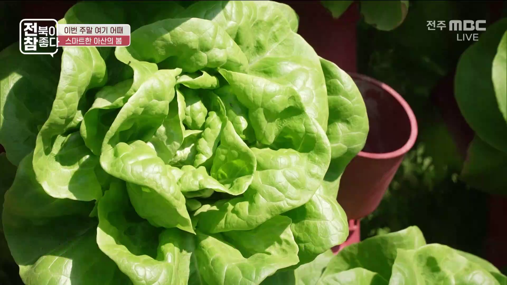 [전북이 참 좋다] 전주MBC 2026년 03월 18일 - 2부