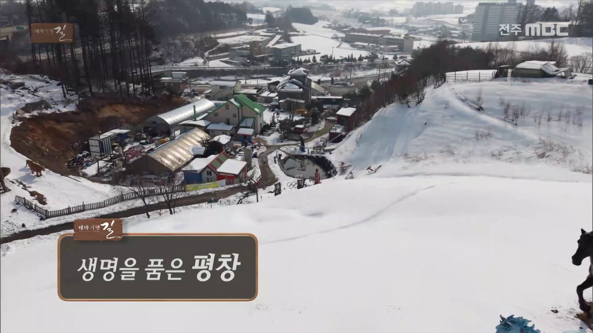 생명을 품은 평창