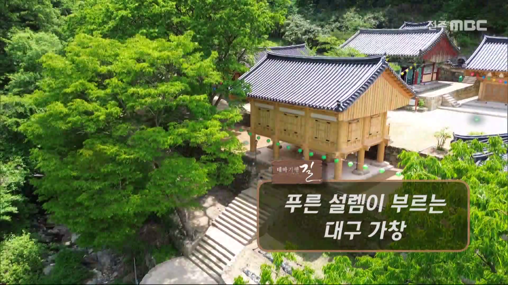 푸른 설렘이 부르는 대구 가창