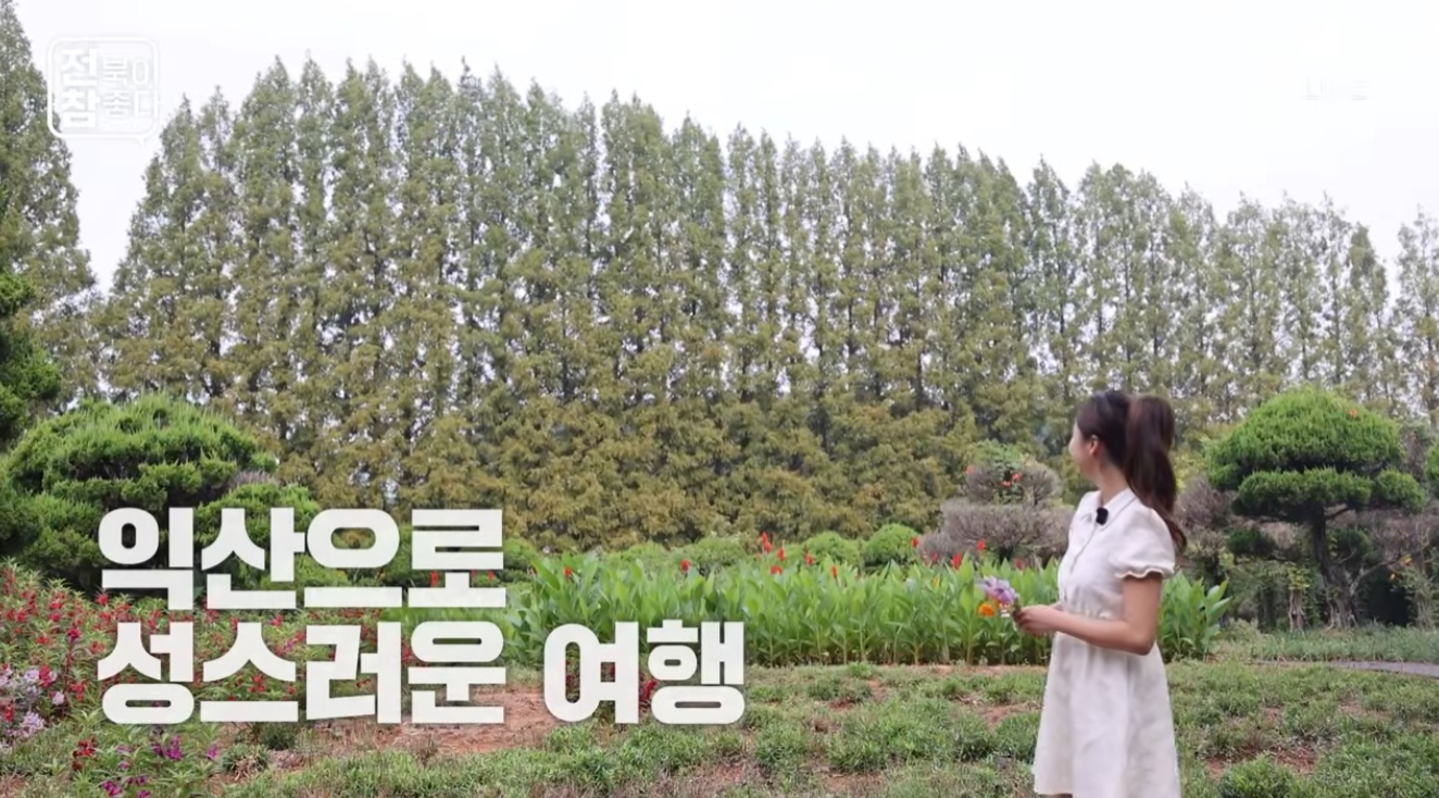 [전북이 참 좋다] 전주MBC 2026년 9월 9일