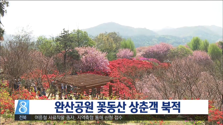 완산공원 꽃동산 개화기 맞아 북적