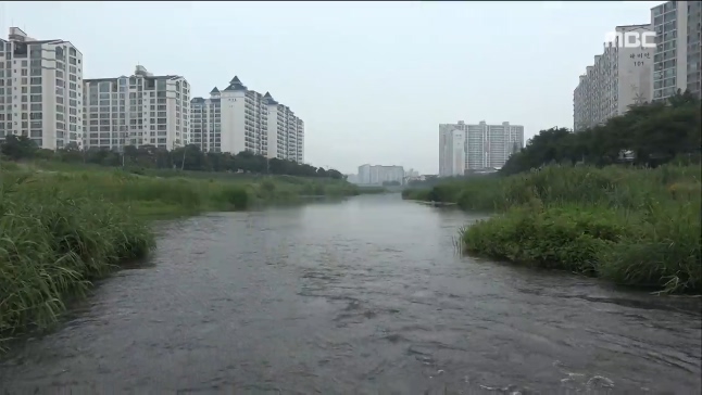 삼천 악취 대책 있나?