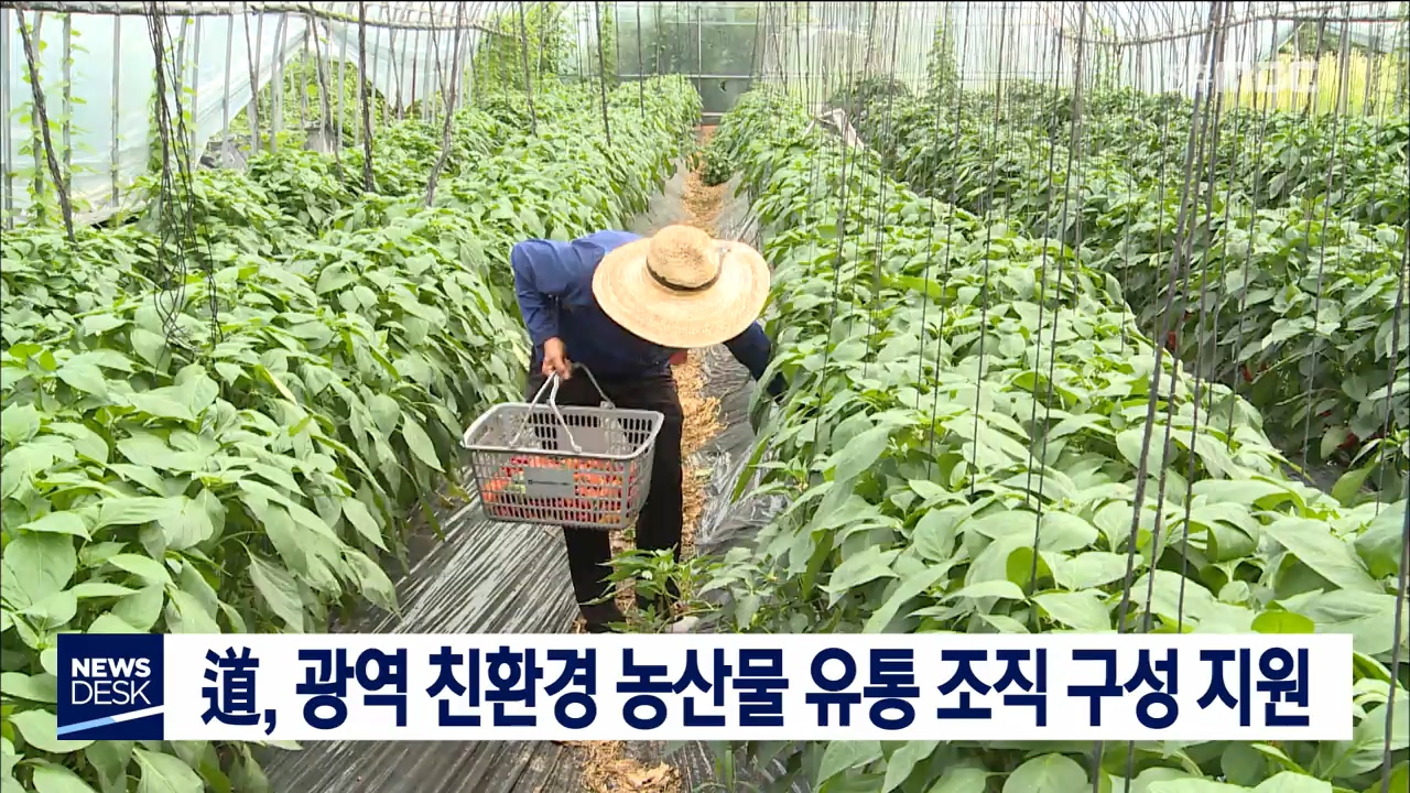 광역 친환경농산물 유통 조직 구성