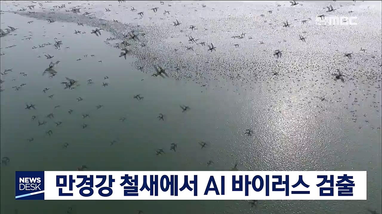 만경강 철새에서 AI 바이러스 검출