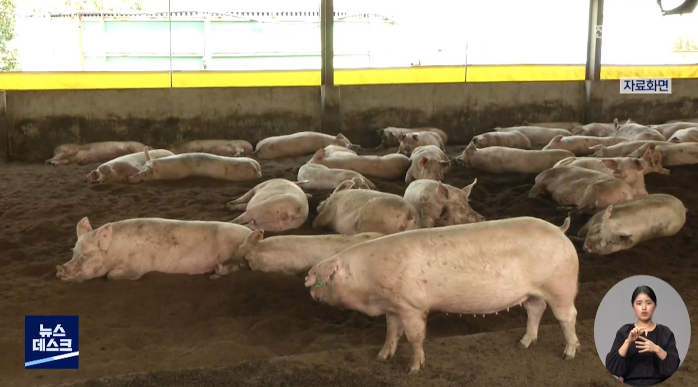 군산시, 설 명절 가축전염병 차단방역 강화