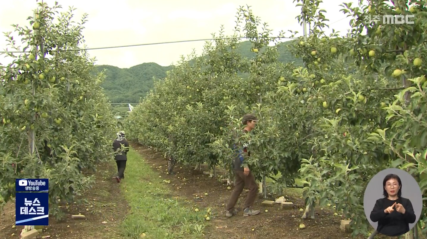 익산시, 농작물 재해보험료 지원 최대 90% 확대