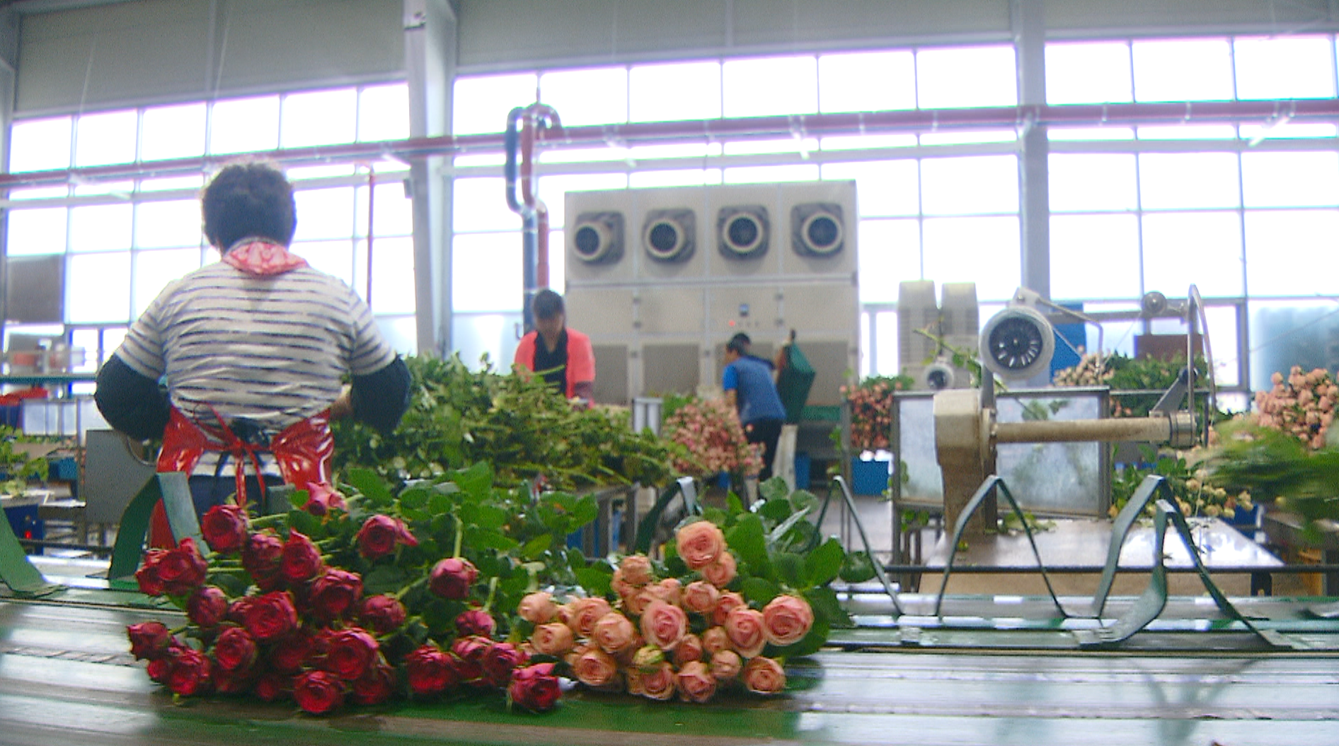 전북 농수산식품 수출 4억 달러 달성