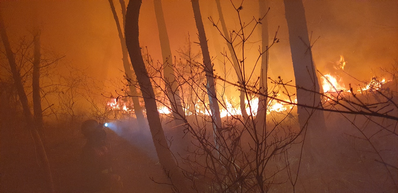 남원 산내면 야산에서 불.. 
