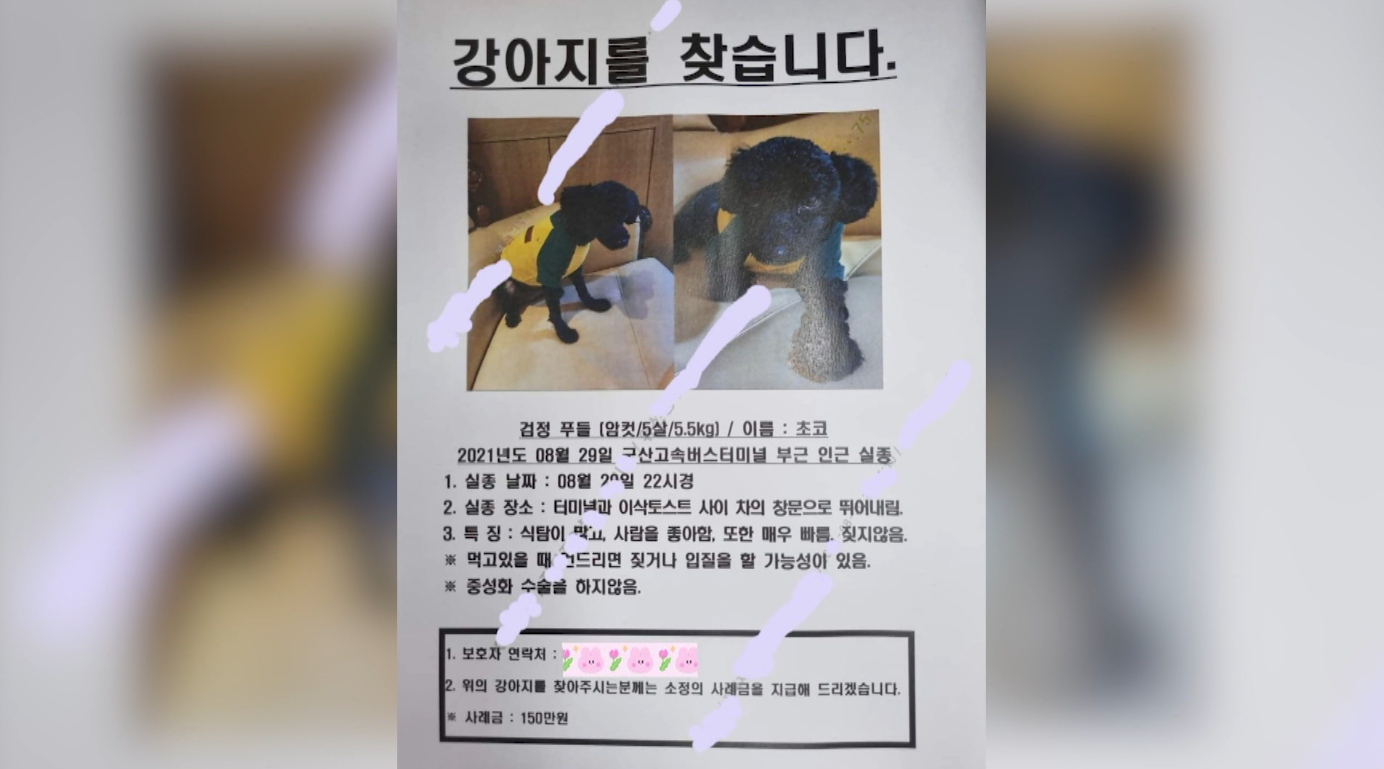 '푸들 19마리 암매장' 사건..정부 