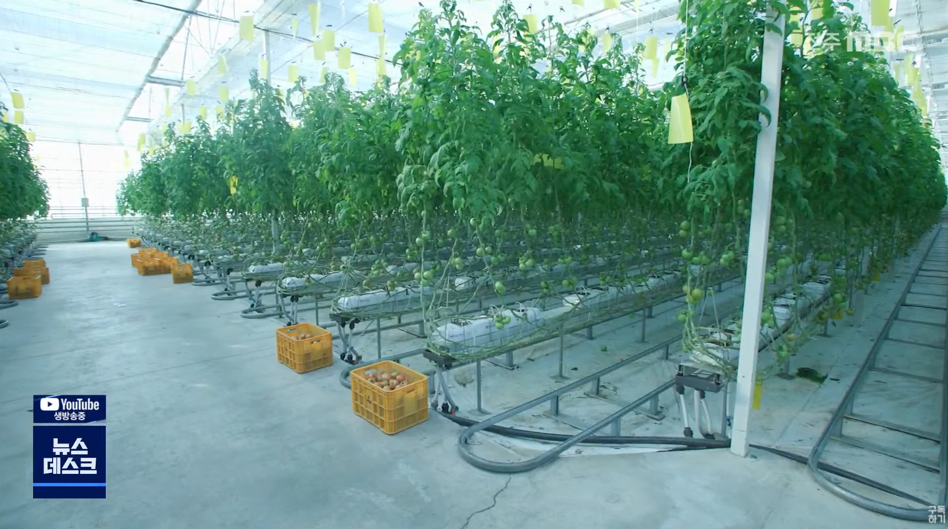 현대화 넘어 자동화까지..AI로 변화하는 농가