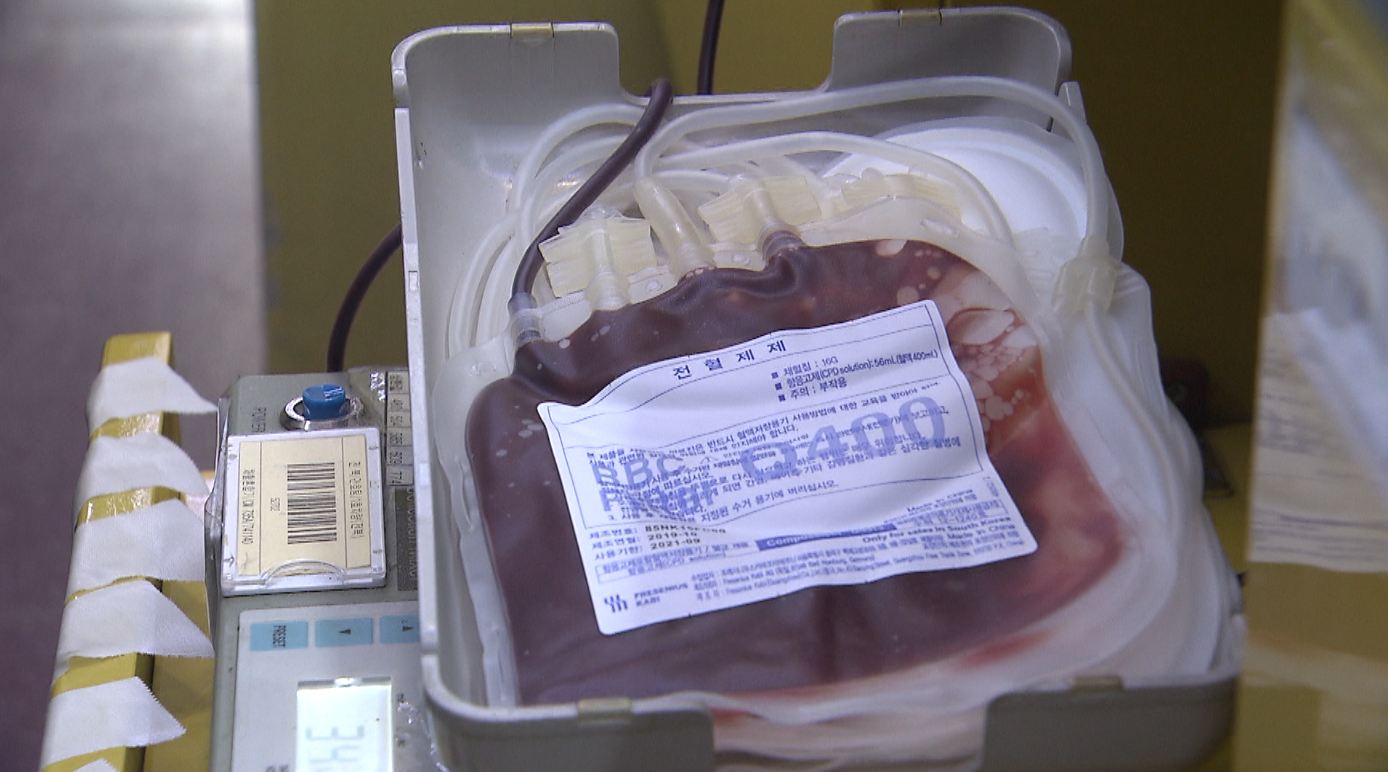 도내 혈액수급 적정 수준 밑돌아