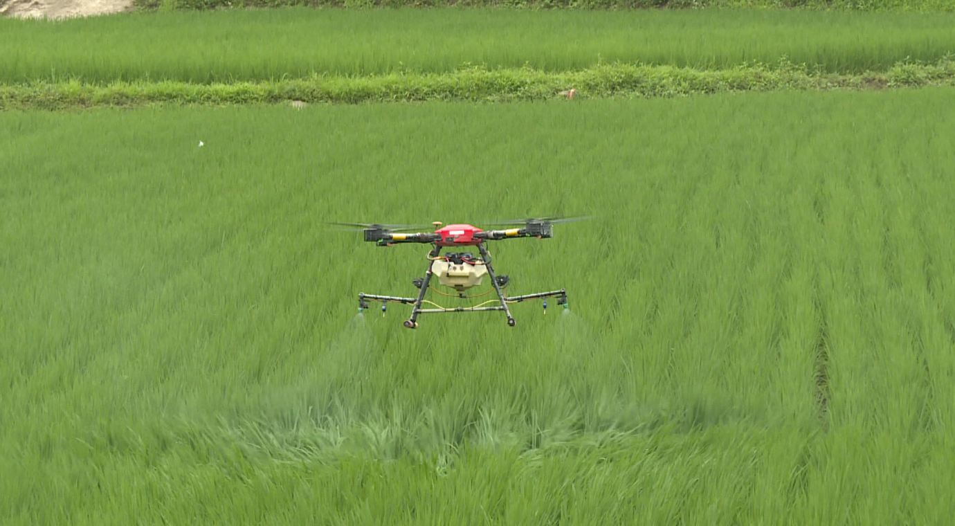 올해 청년농업인 육성 사업 23개, 312억 지원