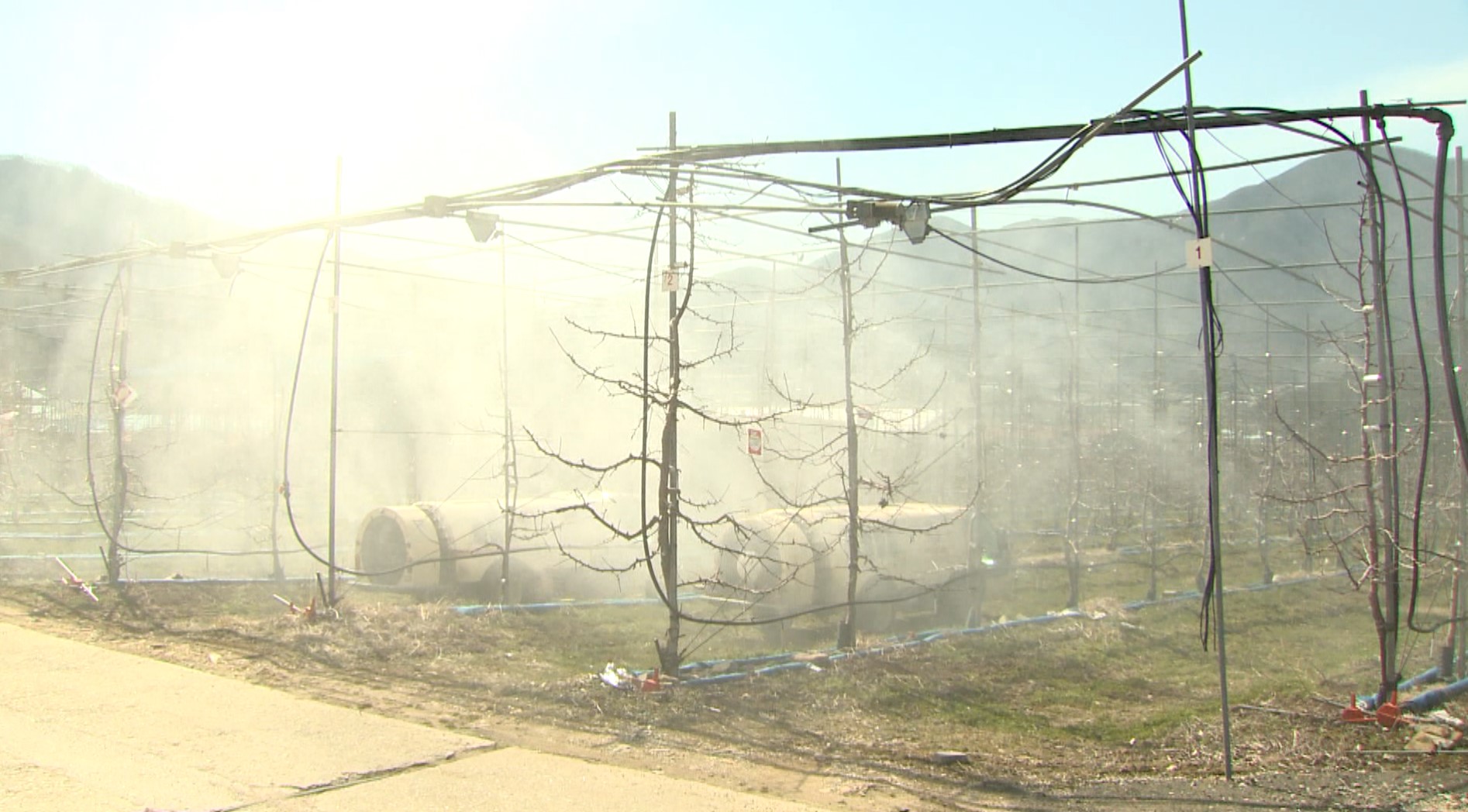 익산시, 사과·배 농가에 과수화상병 예방 약제 지원