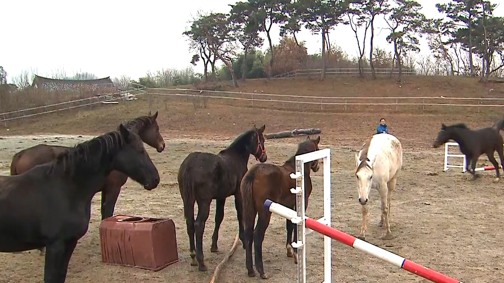 도, 올해 말 산업 육성에 45억 원 투입