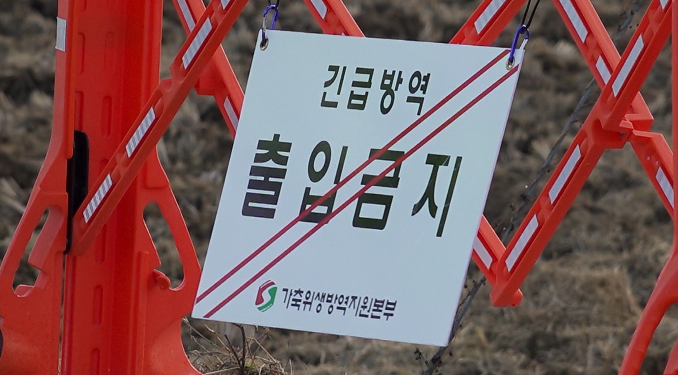 군산시, AI방역 전담공무원 점검·소독 강화