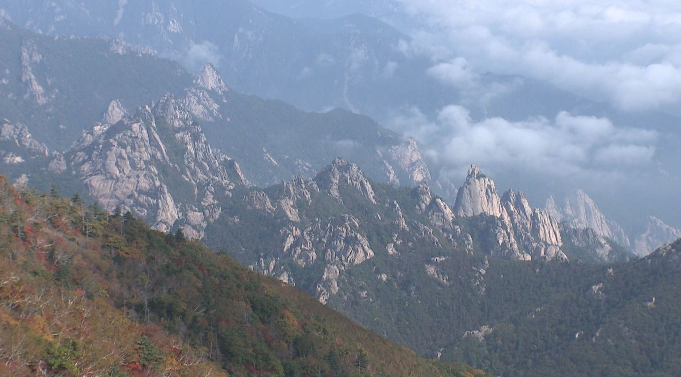 전라북도 낮 기온 7~8도 분포.. 건조한 대기에 화재 주의