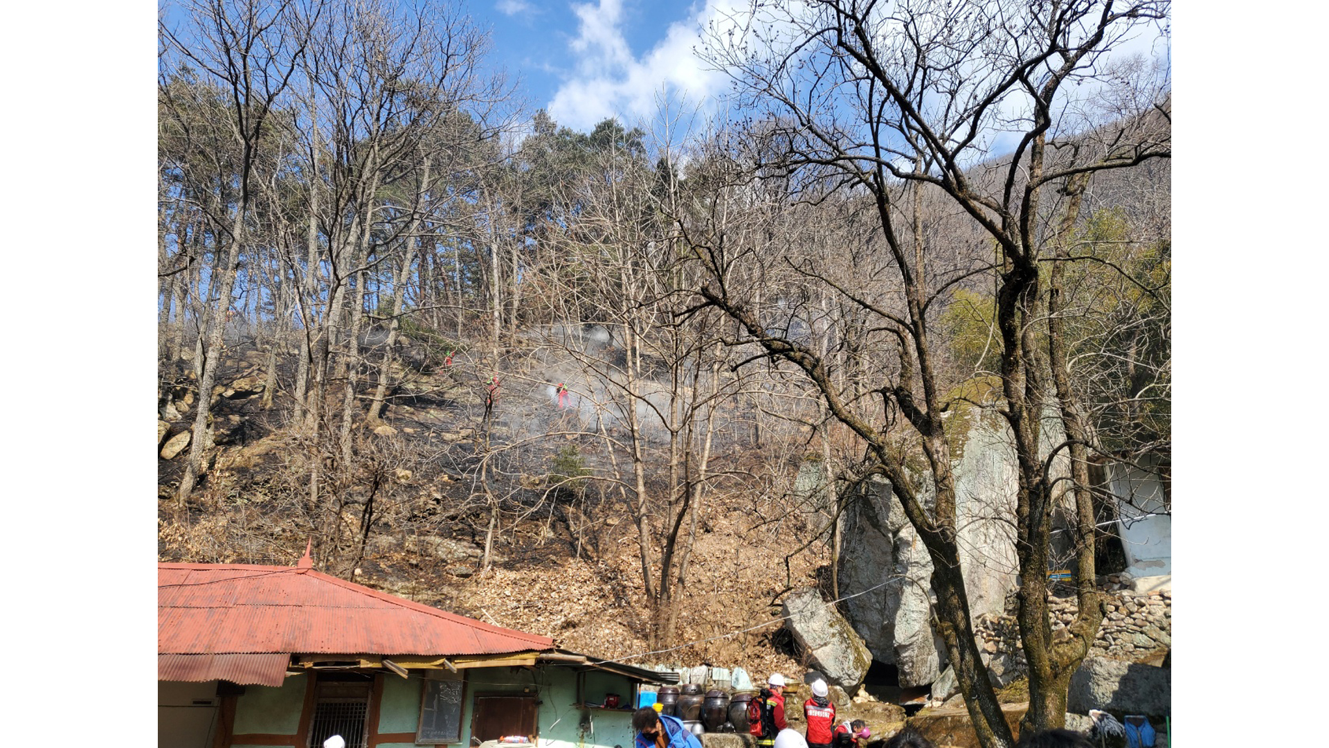 완주 소양면 야산 화재로 0.5헥타르 소실