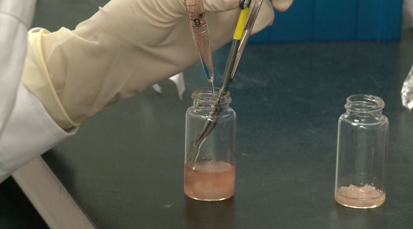 바이오 융합소재 상품 개발 기업에 최대 1억 원 지원