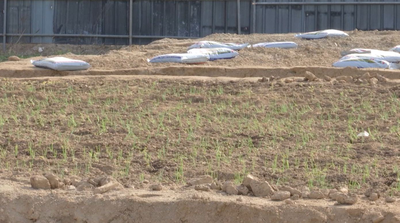 5월부터 농지법 강화, 주말농장도 영농계획서 내야