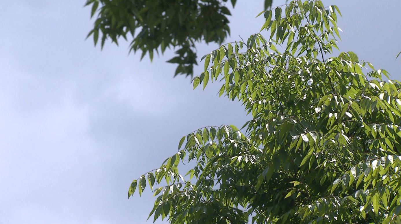 남원·무주·장수 건조주의보..낮기온 16~18도