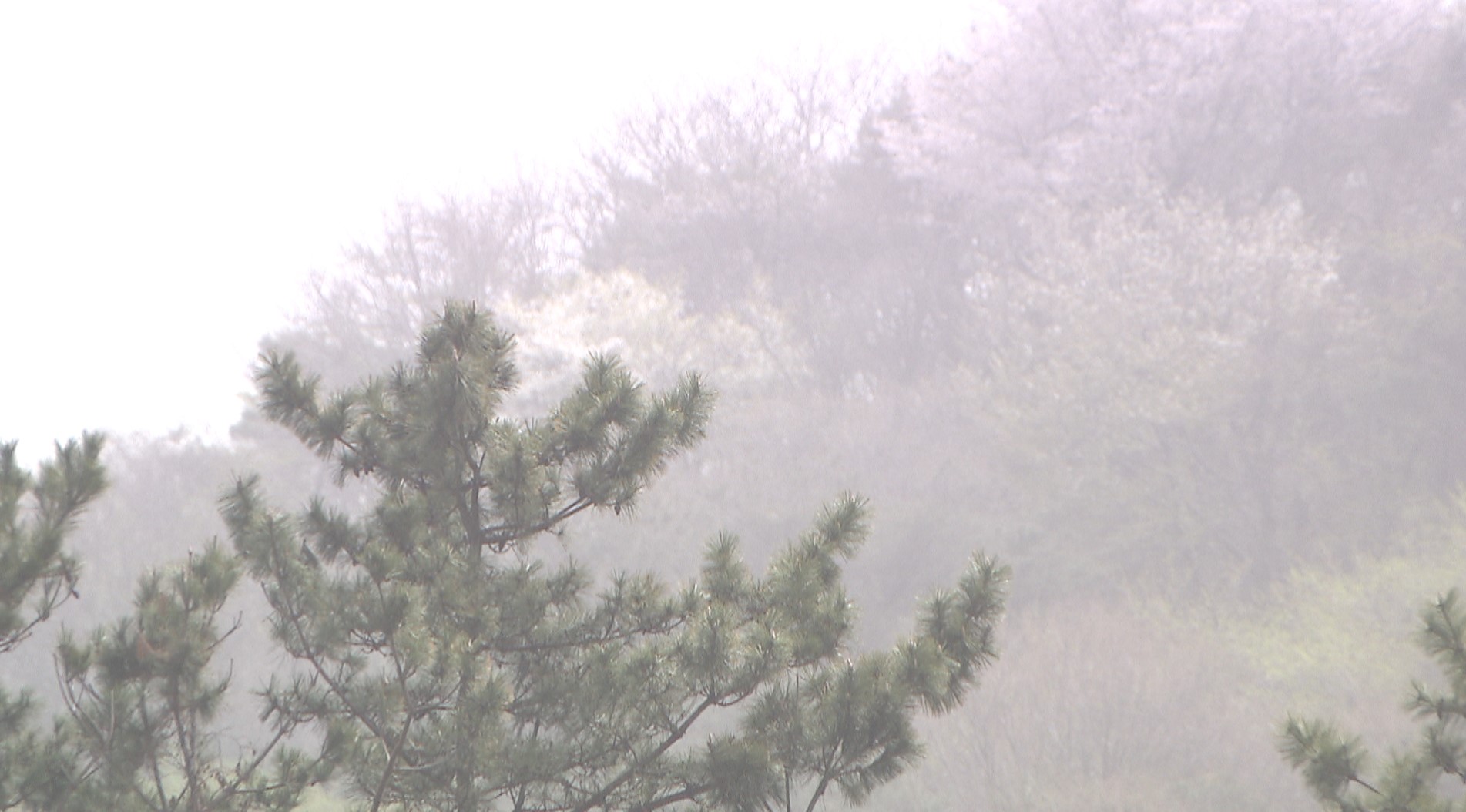 전북 초미세먼지 농도 '나쁨'.. 남원·무주·장수 건조주의보
