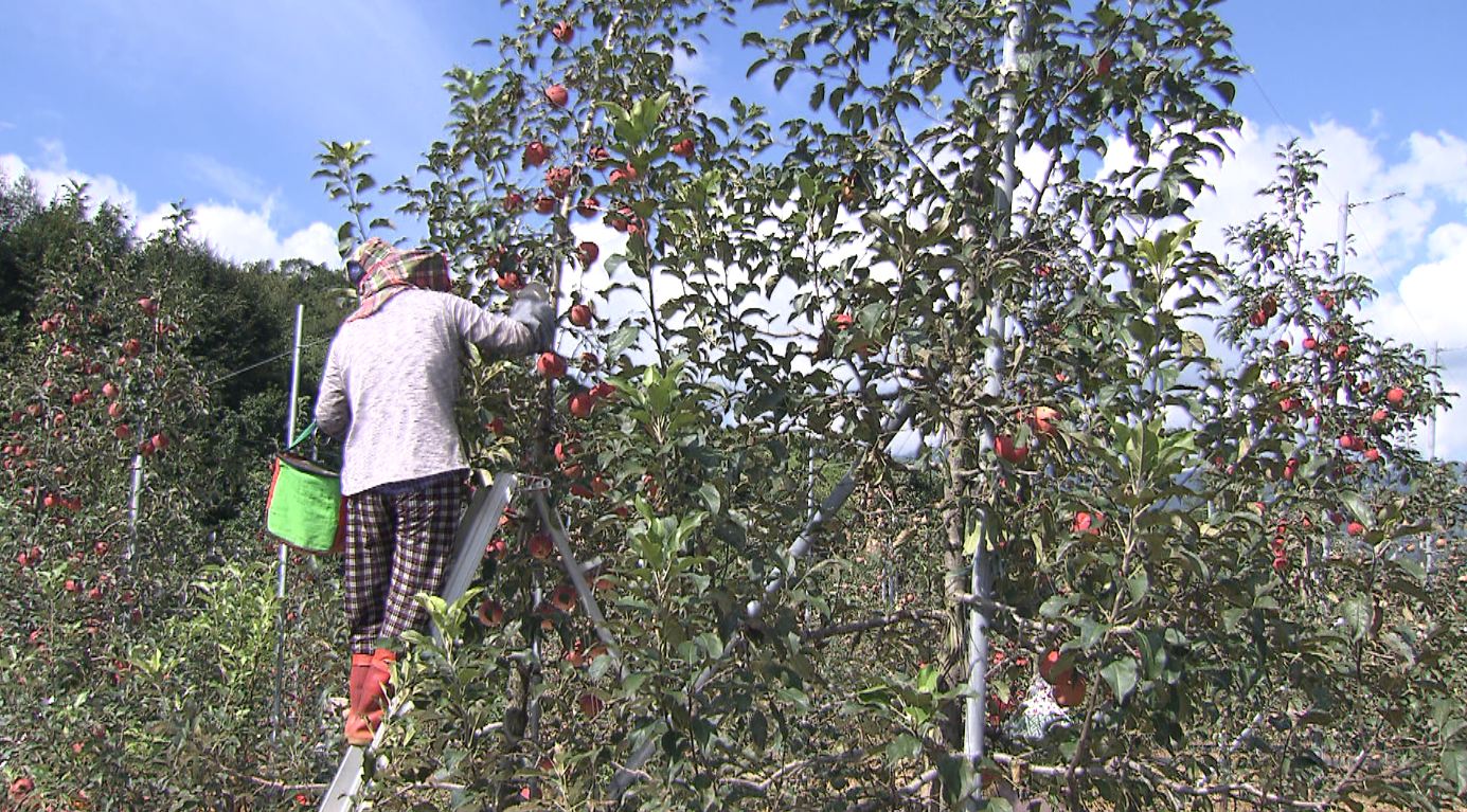 '전북생생장터'상품 반일 배송비 건당 2천 원씩 지원