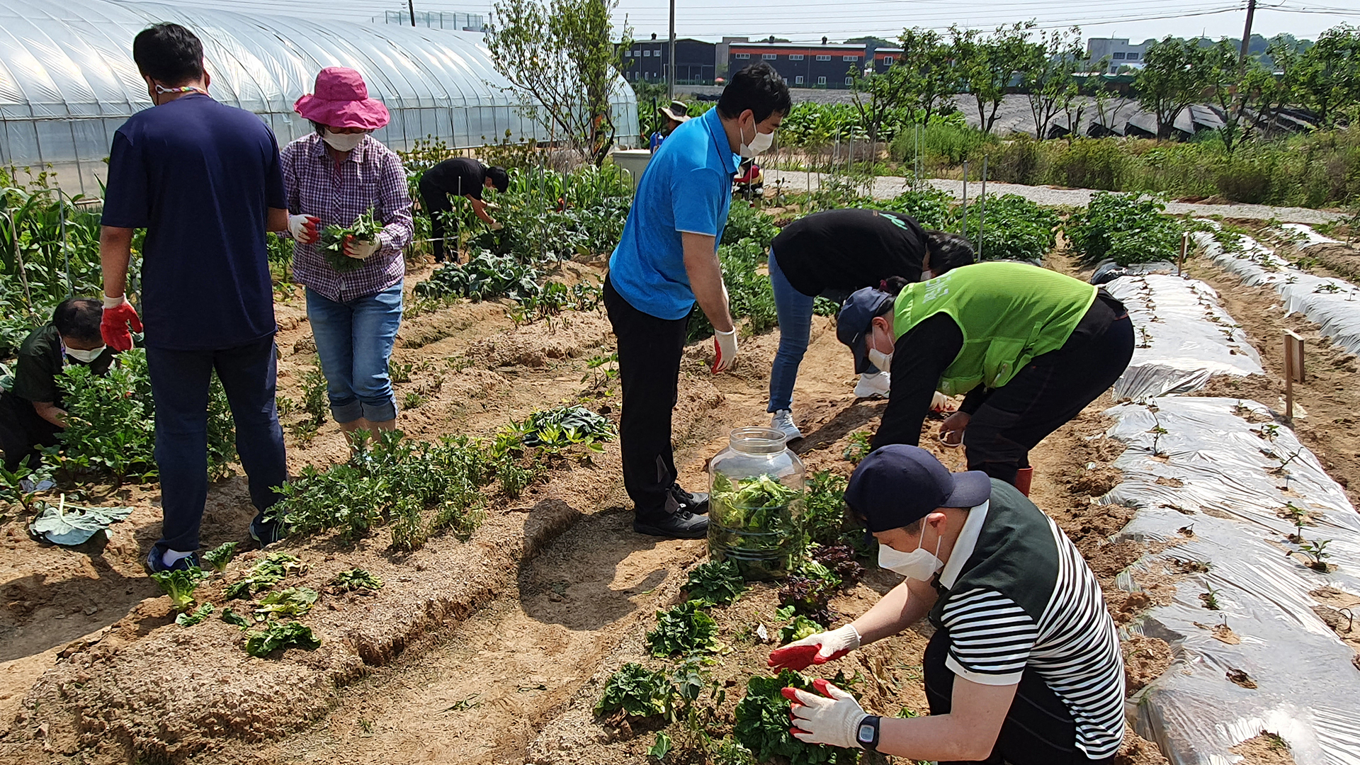 전주시, 발달장애 치유·소득 근교농장 확대