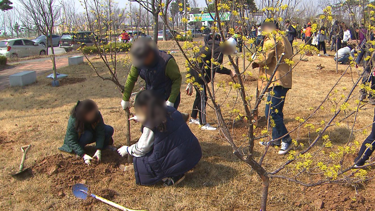 전주시, 봄꽃 15만 그루 식재..무료 배부