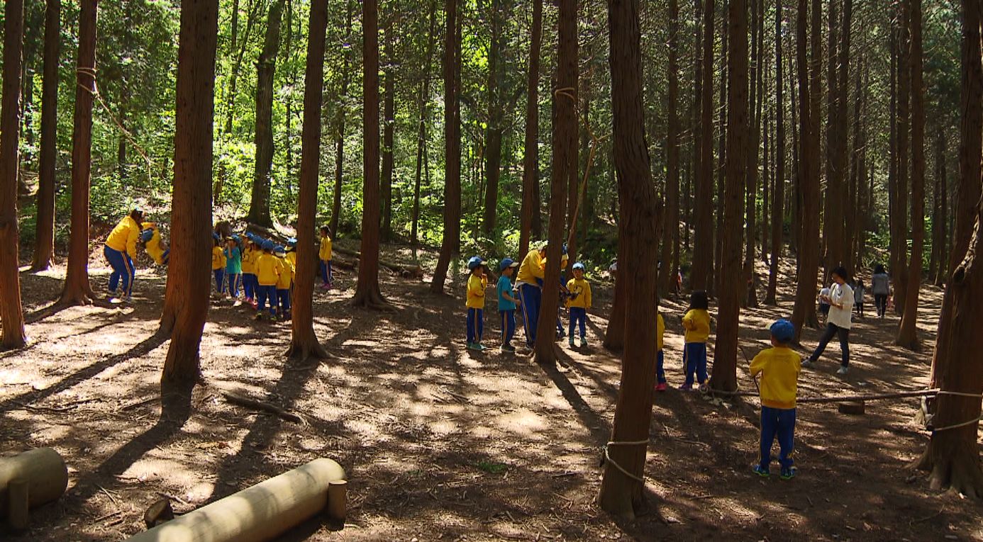 대아수목원, 숲 해설·유아 숲 체험 프로그램 운영