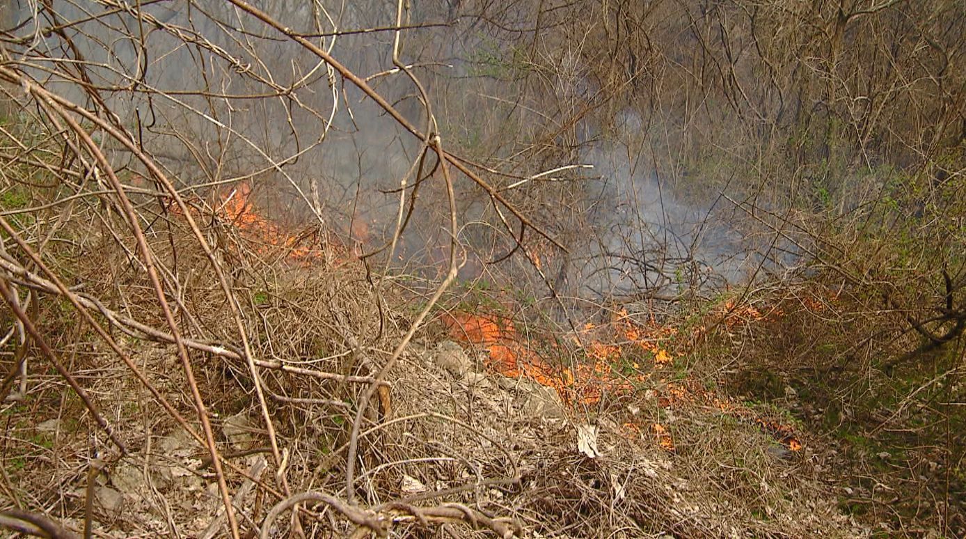 전북도내 임야화재 3월에 집중.. 부주의 발생 93%