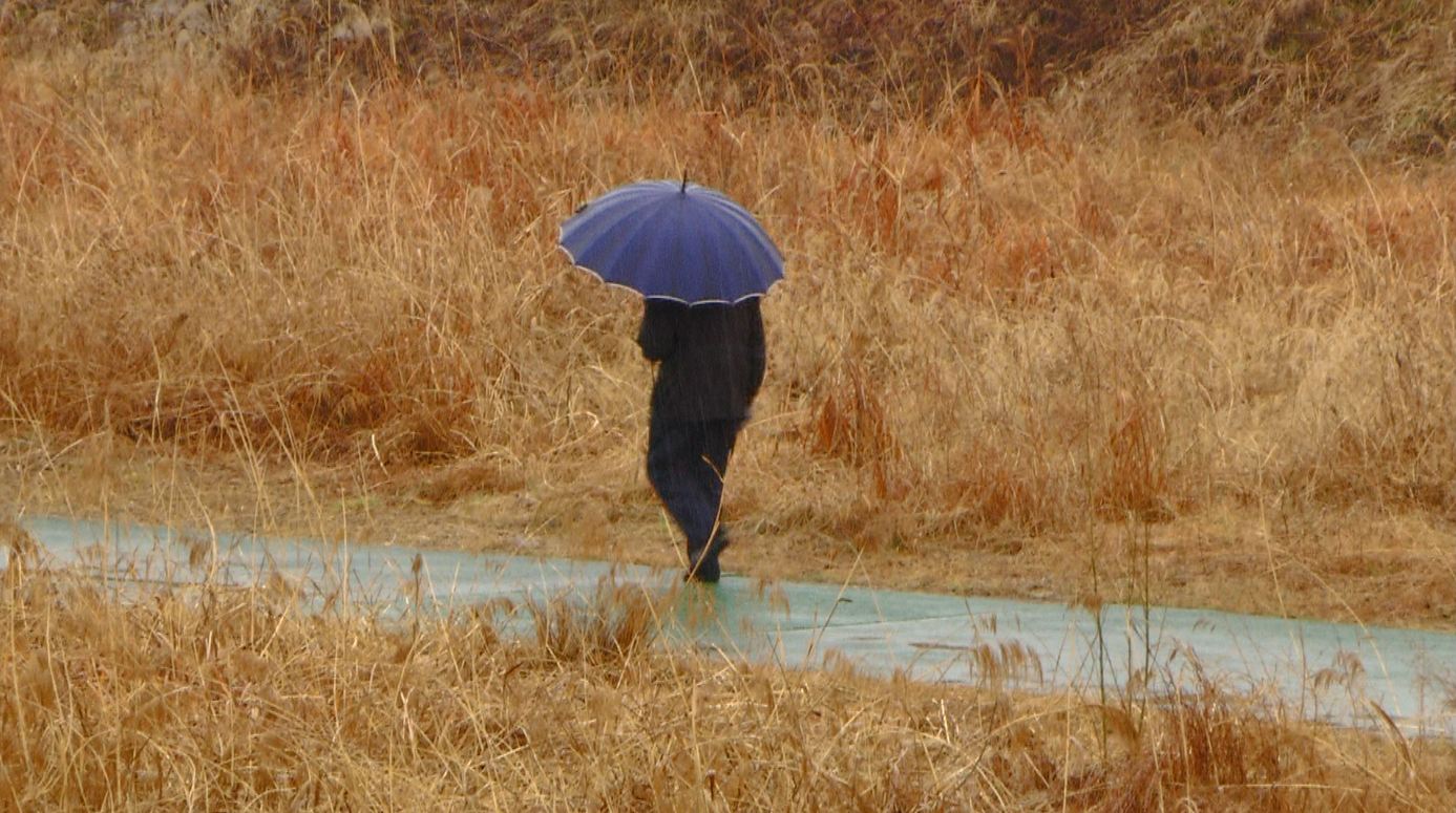 전북 지역 대기질 '나쁨'.. 모레까지 비 소식