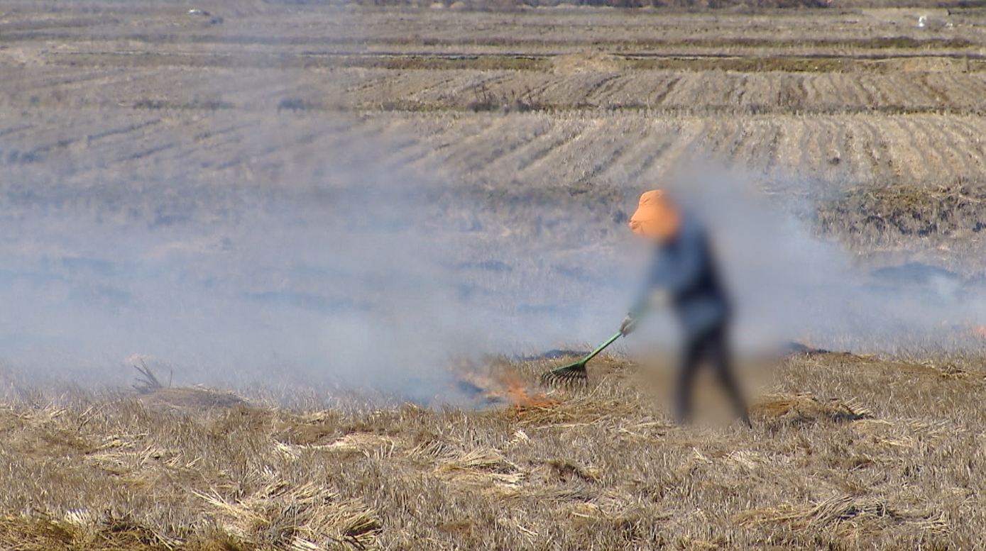 영농철 맞아 논·밭두렁 소각 행위 집중 단속