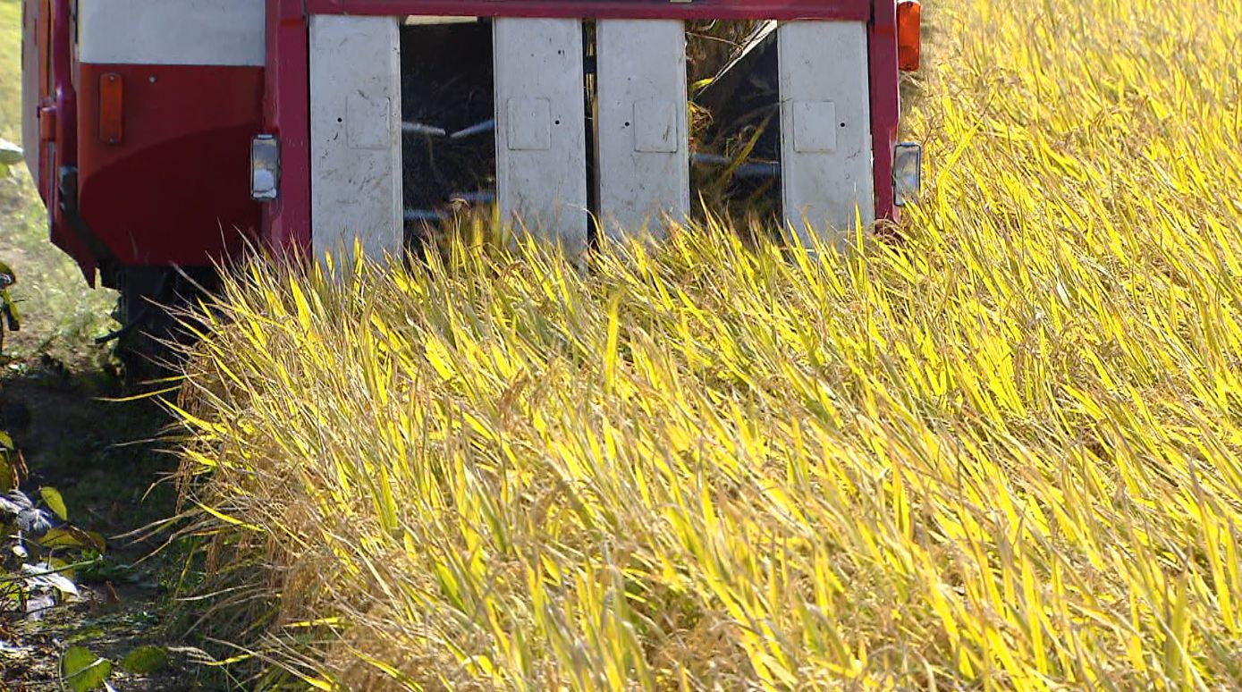 기본형 공익직불금 내일부터 접수