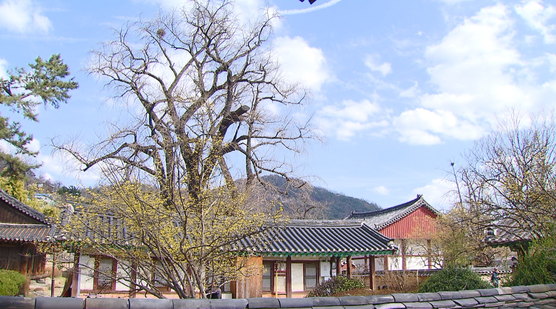 전북 맑고 포근...무주, 장수, 진안 건조주의보  발효