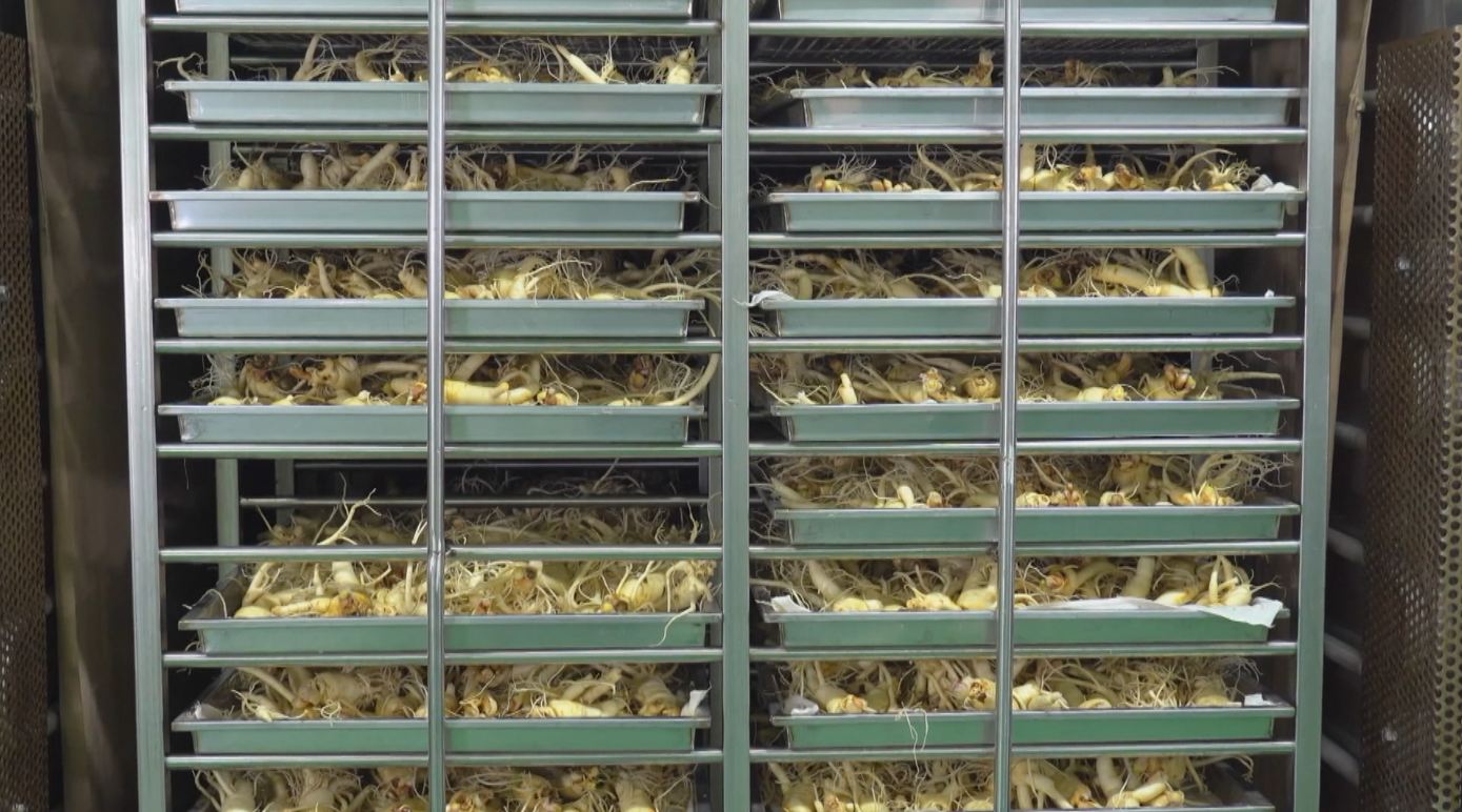 농업기술실용화 넘어 미래 농산업 육성 속도