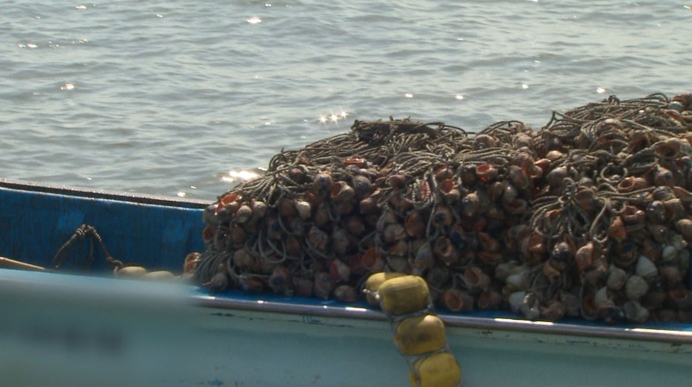 전북도, 자연 분해되는 친환경 어구 구매 지원