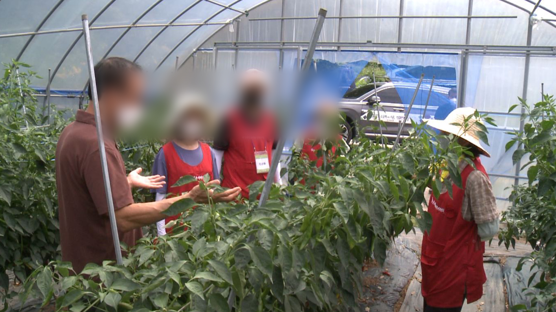 소규모 농촌체험 프로그램 지원, 도내 13개 마을 선정