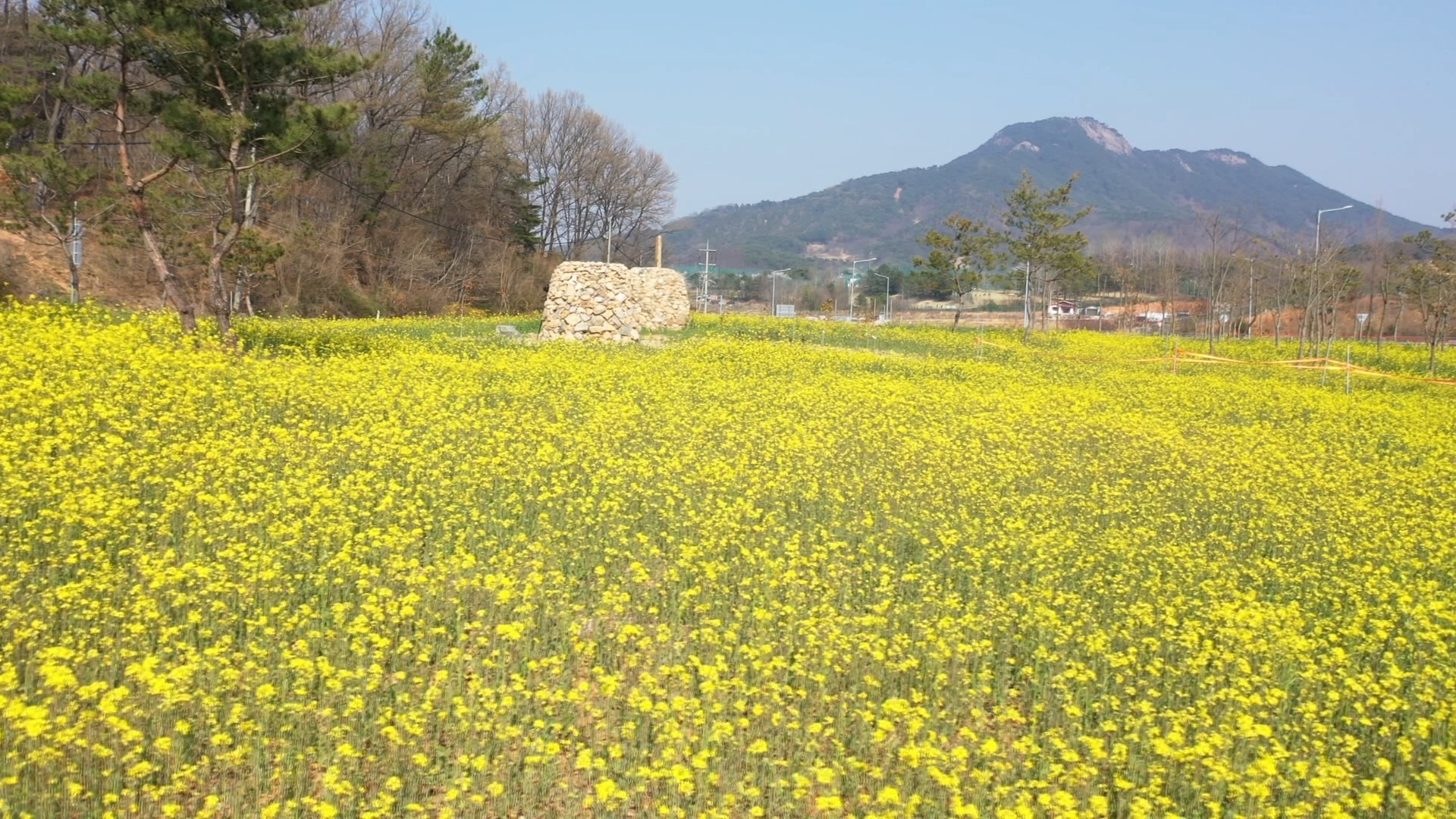 전북도내 일교차 20도 안팎.. 