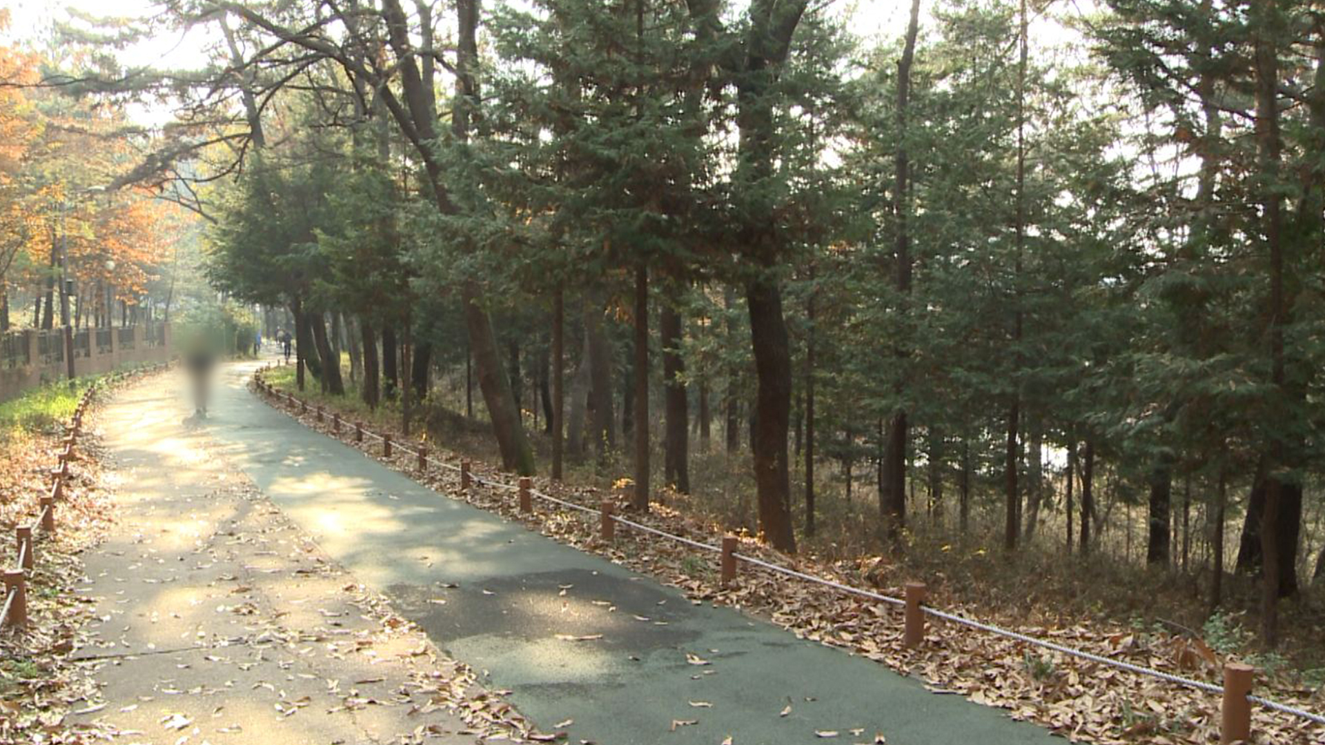군산 월명공원 숲 해설 프로그램 운영