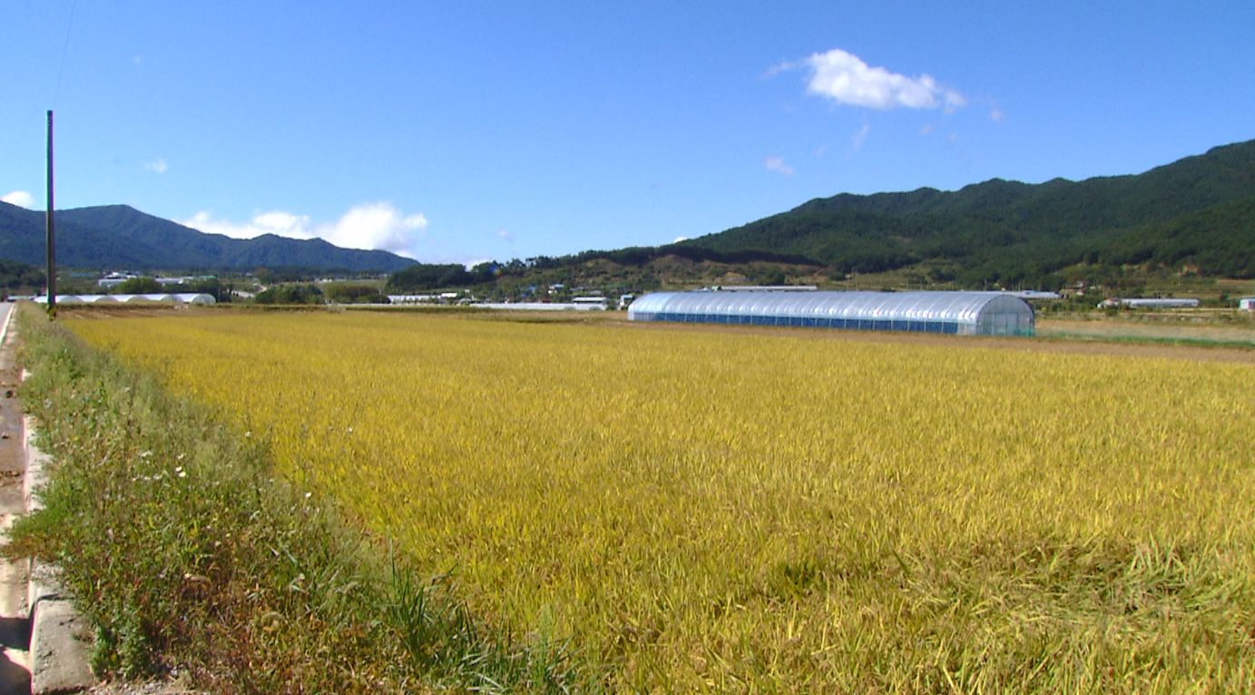 전주시 '벼 재배면적 감축협약' 참여 농가 신청 받아