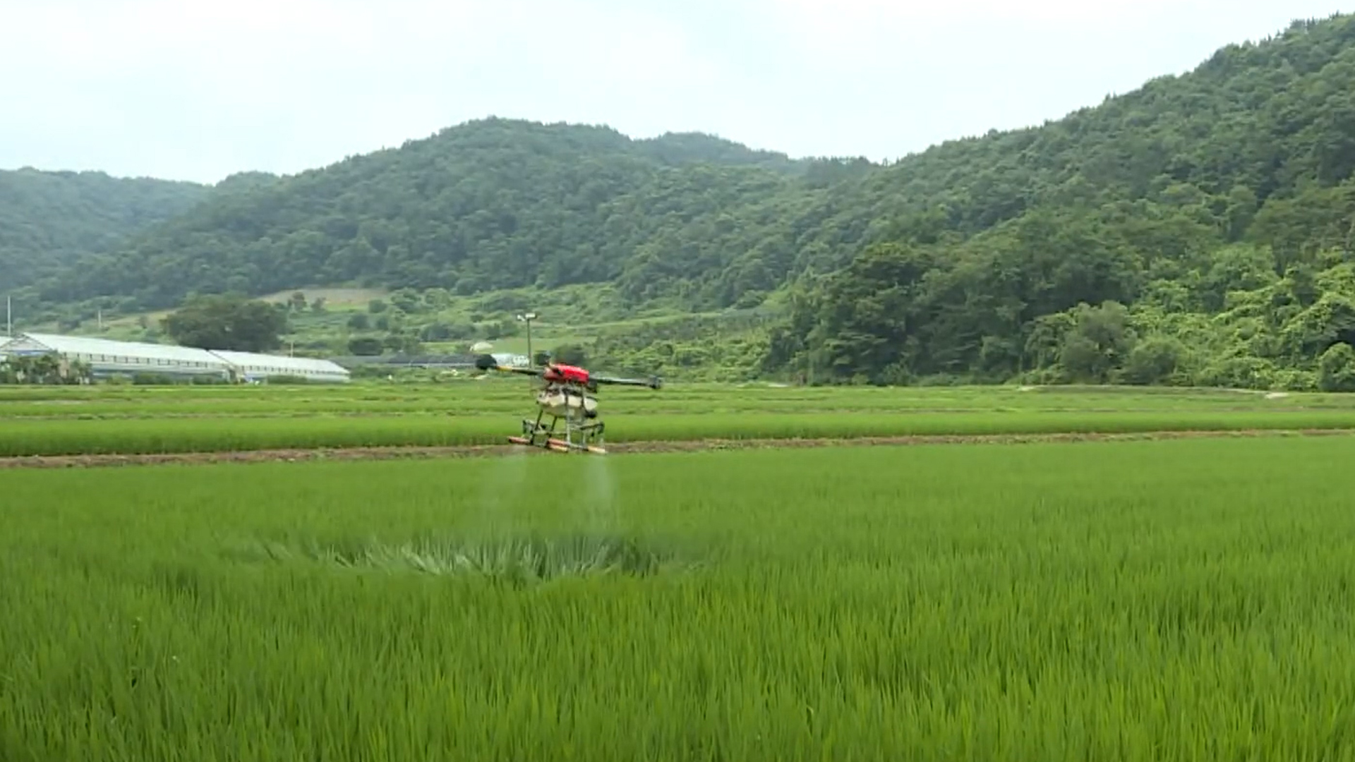 지역소식 (완주·김제·임실·순창 편)