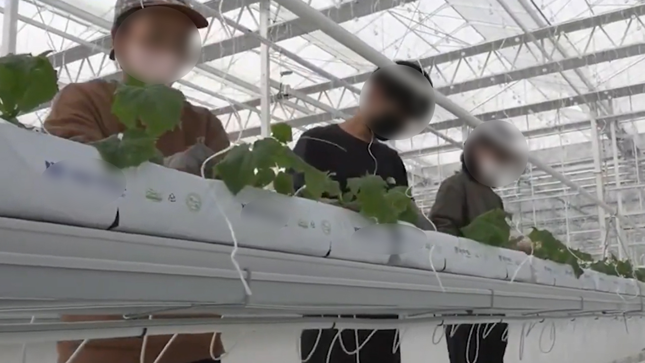 군산시, 청년농업인 경영실습 스마트팜 임차인 모집