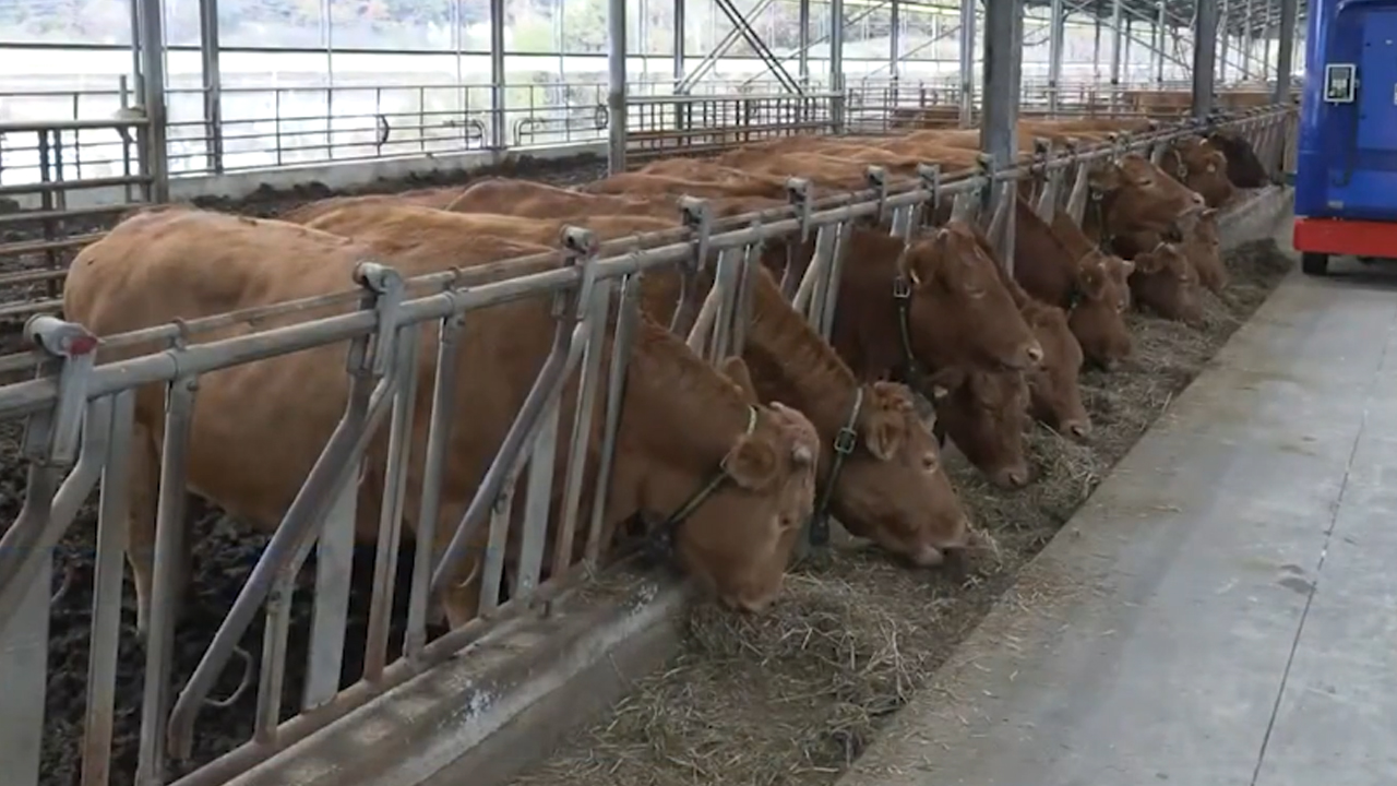 익산시, 여름철 축산 악취 저감..13억 원 투입