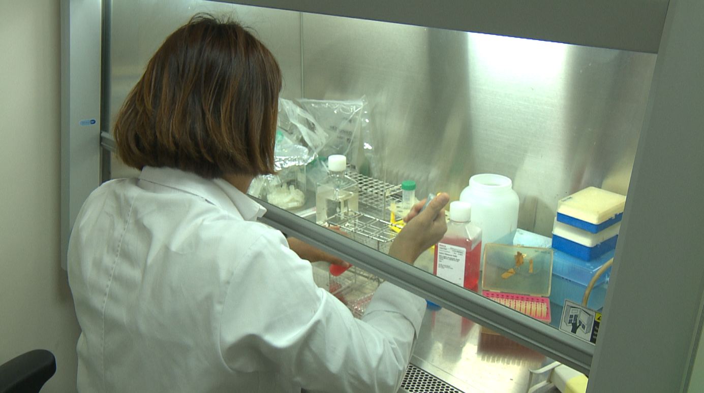 전북대 연구소, 무형유산 연대 추정 기술 개발